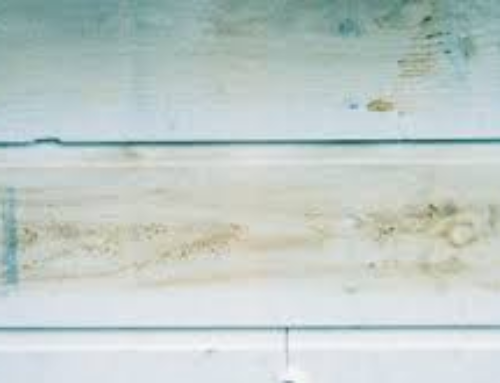 Extractive Staining| Common Painting Problems